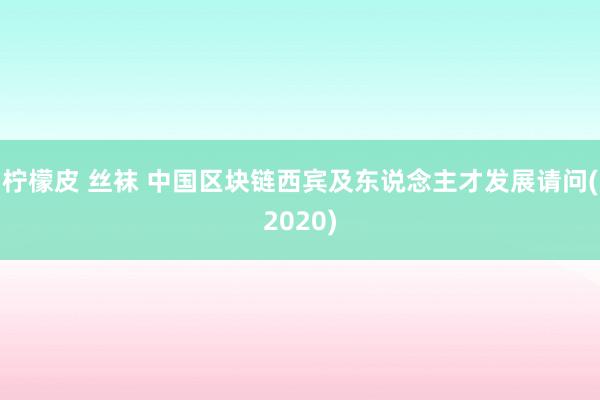 柠檬皮 丝袜 中国区块链西宾及东说念主才发展请问(2020)