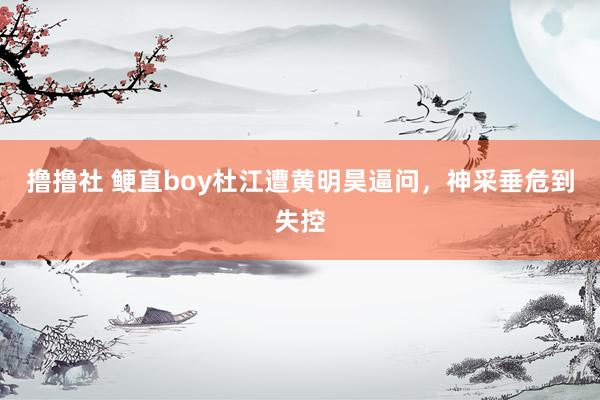 撸撸社 鲠直boy杜江遭黄明昊逼问，神采垂危到失控