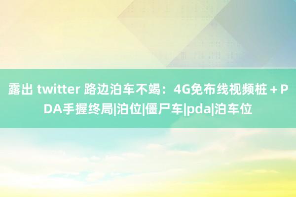 露出 twitter 路边泊车不竭：4G免布线视频桩＋PDA手握终局|泊位|僵尸车|pda|泊车位